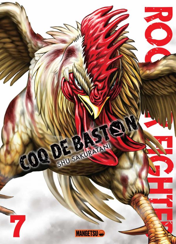 Rooster Fighter - Coq de Baston